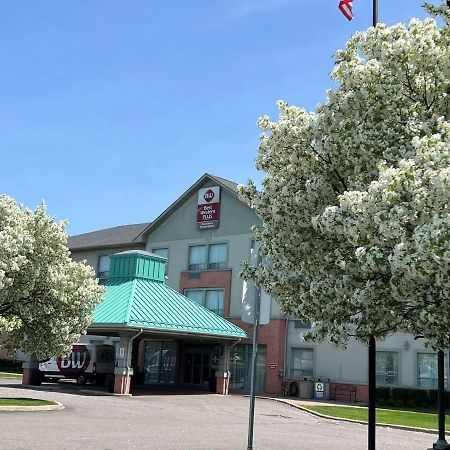 Best Western Plus Travel Hotel Toronto Airport Kültér fotó